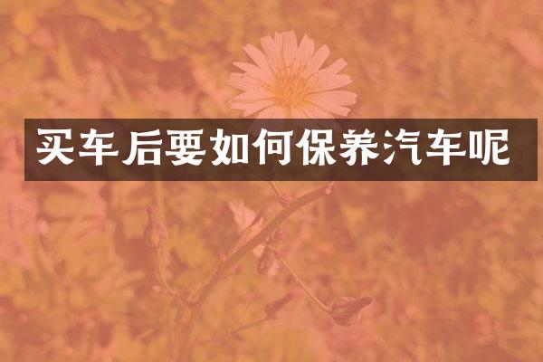 买车后要如何保养汽车呢