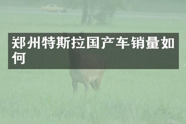 郑州特斯拉国产车销量如何