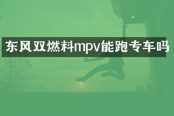 东风双燃料mpv能跑专车吗