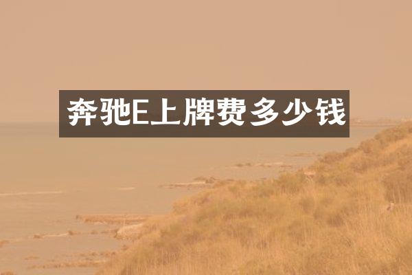 奔驰E上牌费多少钱
