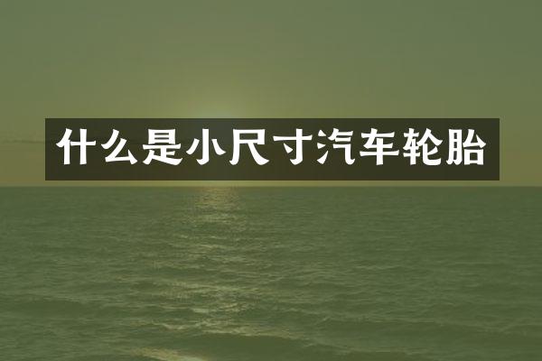 什么是小尺寸汽车轮胎