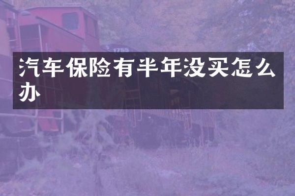 汽车保险有半年没买怎么办