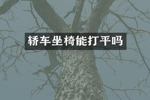 轿车坐椅能打平吗