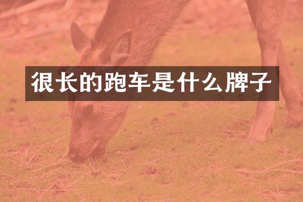 很长的跑车是什么牌子