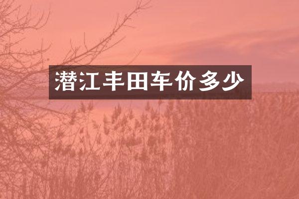 潜江丰田车价多少