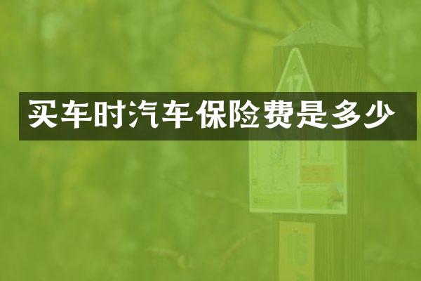 买车时汽车保险费是多少