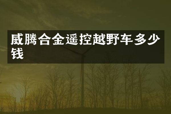 威腾合金遥控越野车多少钱