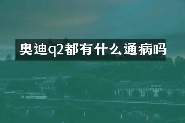 奥迪q2都有什么通病吗