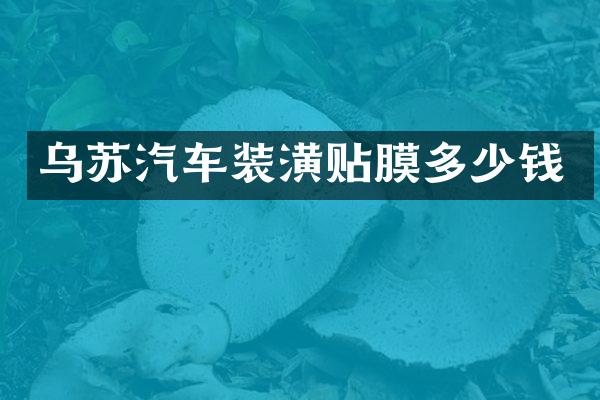 乌苏汽车装潢贴膜多少钱