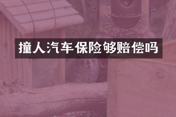 撞人汽车保险够赔偿吗