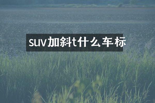 suv加斜t什么车标