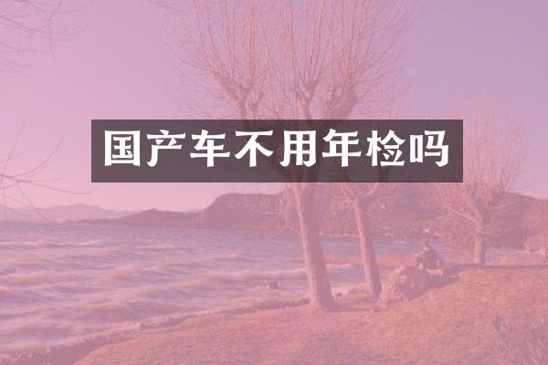 国产车不用年检吗