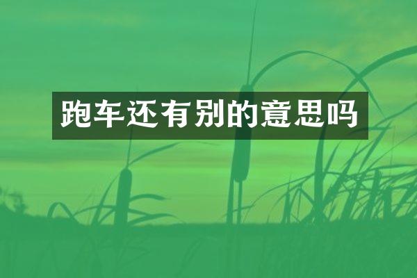 跑车还有别的意思吗