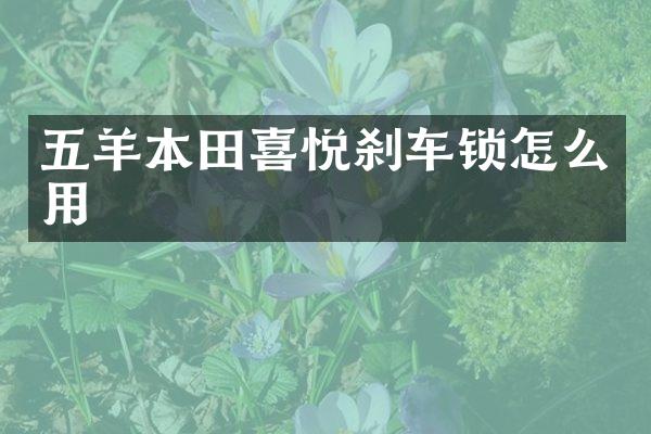 五羊本田喜悦刹车锁怎么用