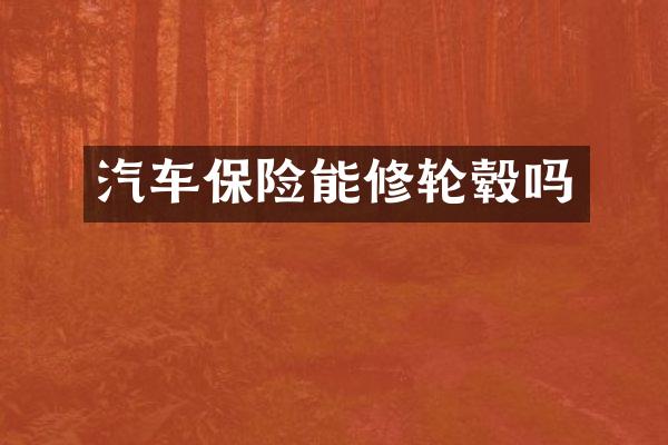 汽车保险能修轮毂吗