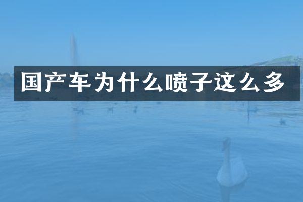 国产车为什么喷子这么多