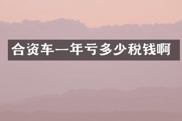 合资车一年亏多少税钱啊