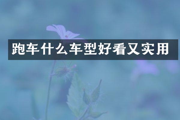 跑车什么车型好看又实用