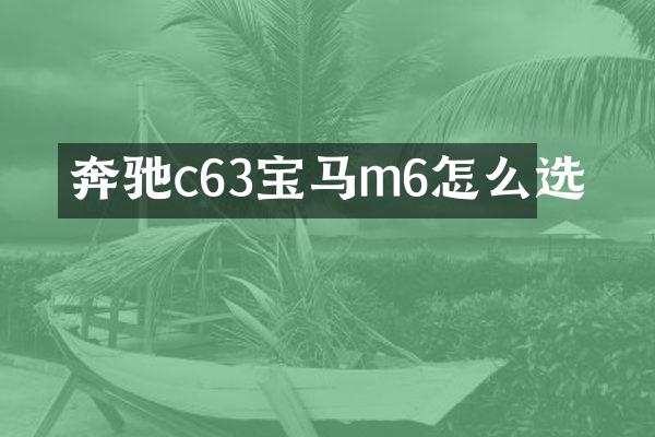 奔驰c63宝马m6怎么选