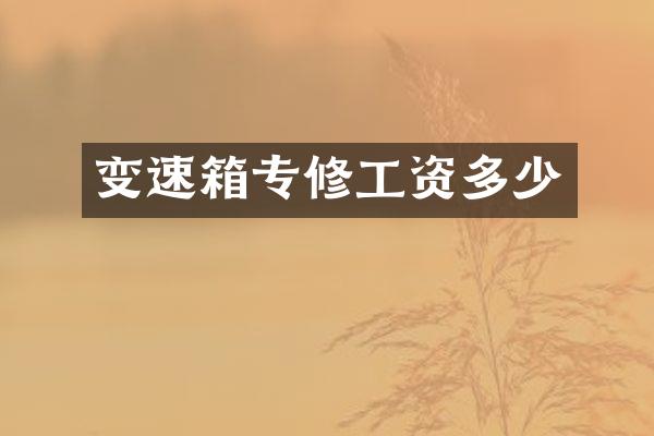 变速箱专修工资多少