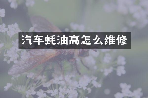 汽车蚝油高怎么维修