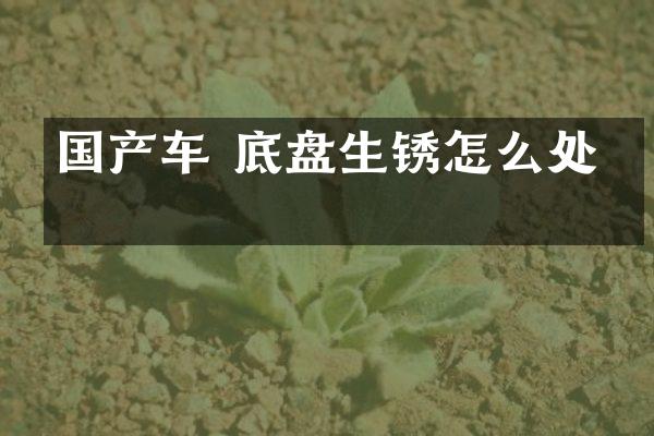 国产车 底盘生锈怎么处理