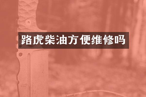 路虎柴油方便维修吗