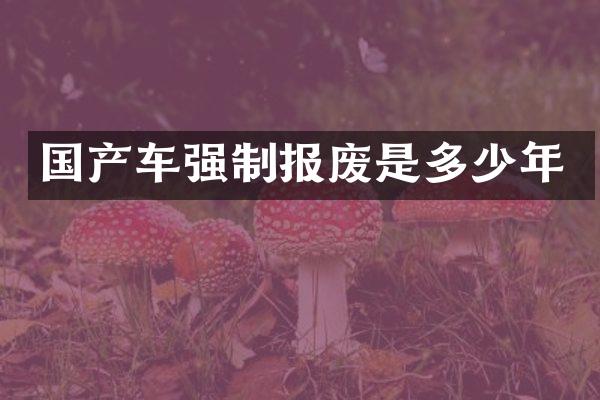 国产车强制报废是多少年