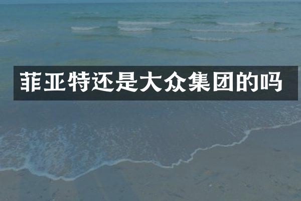 菲亚特还是大众集团的吗