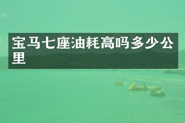 宝马七座油耗高吗多少公里