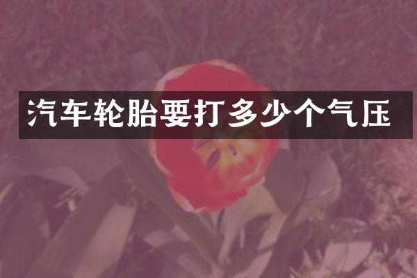 汽车轮胎要打多少个气压