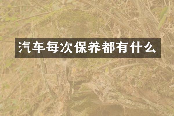汽车每次保养都有什么