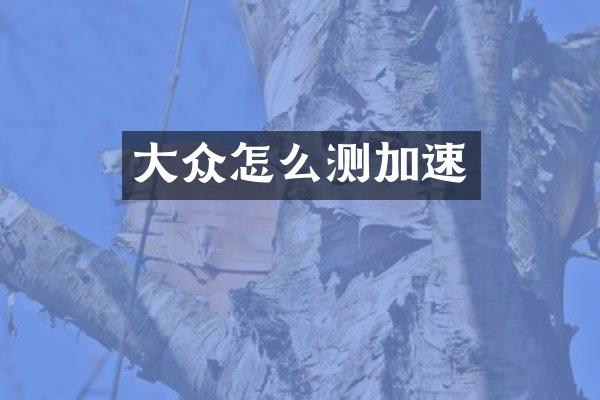 大众怎么测加速