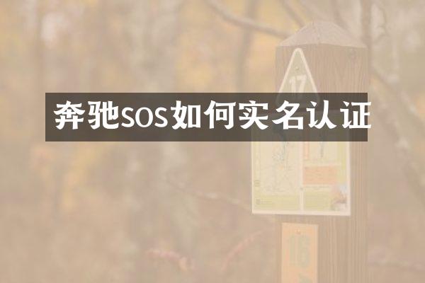 奔驰sos如何实名认证