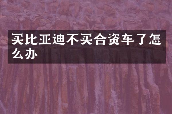 买比亚迪不买合资车了怎么办
