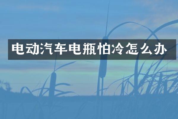 电动汽车电瓶怕冷怎么办