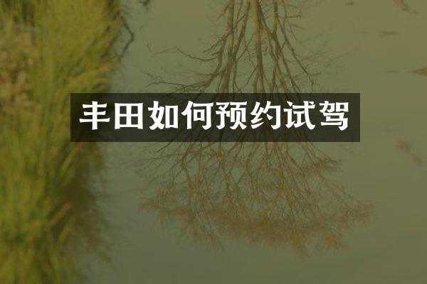丰田如何预约试驾