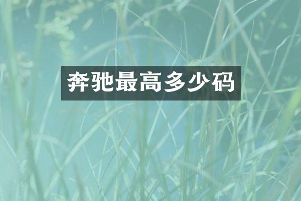 奔驰最高多少码
