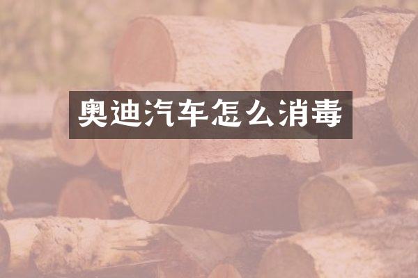 奥迪汽车怎么消毒