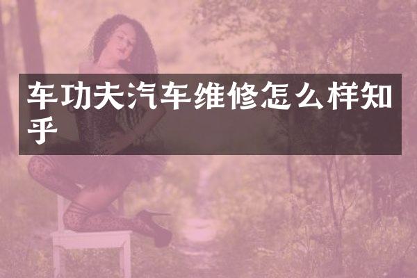 车功夫汽车维修怎么样知乎