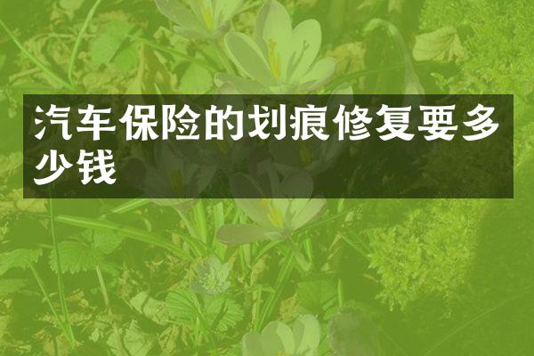 汽车保险的划痕修复要多少钱