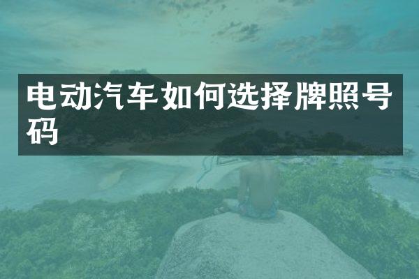 电动汽车如何选择牌照号码