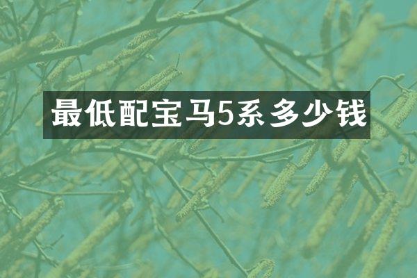 最低配宝马5系多少钱
