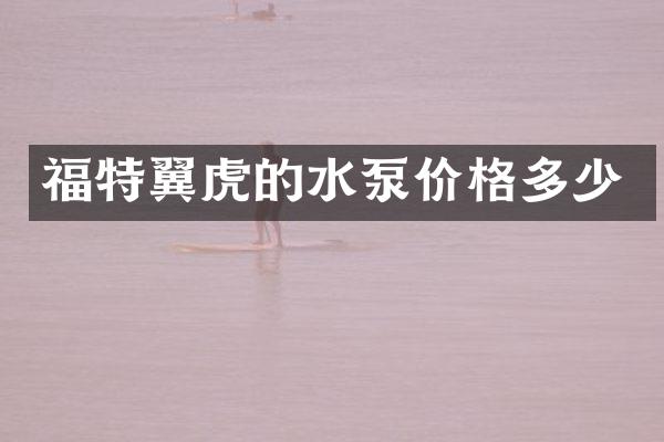 福特翼虎的水泵价格多少