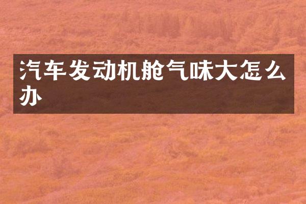 汽车发动机舱气味大怎么办