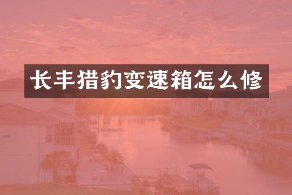 长丰猎豹变速箱怎么修