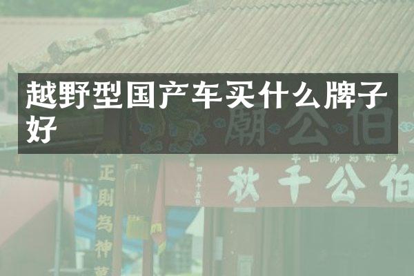 越野型国产车买什么牌子好