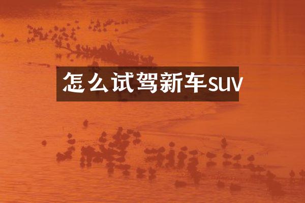 怎么试驾新车suv