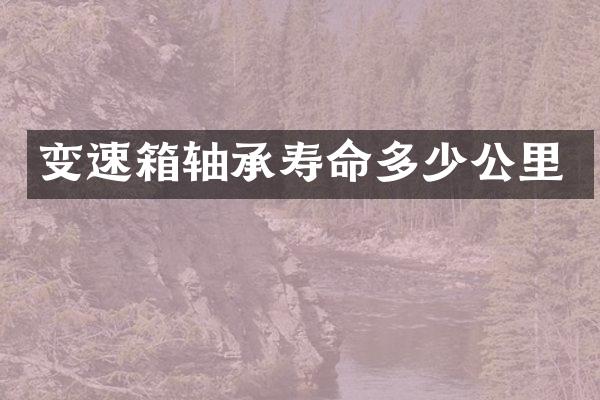 变速箱轴承寿命多少公里