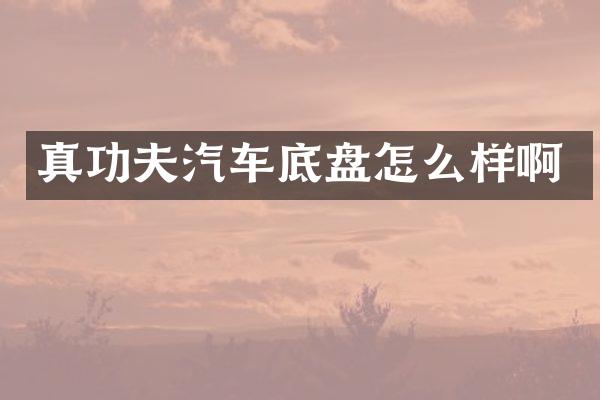 真功夫汽车底盘怎么样啊
